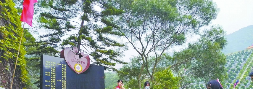 延续生命 大爱永恒